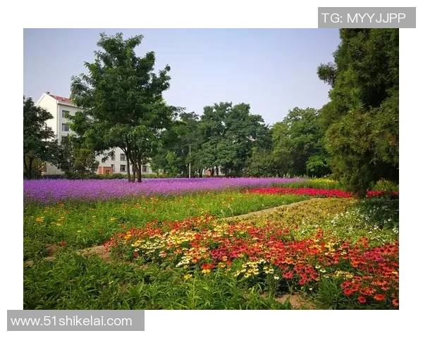 追逐梦想的绿茵场上全是爱与足球明星的青春故事 追逐梦想的绿茵场上全是爱与足球明星的青春故事