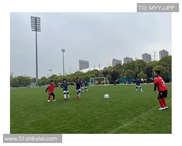 南京足球队实力强劲荣登全国足球实力排行榜第三名